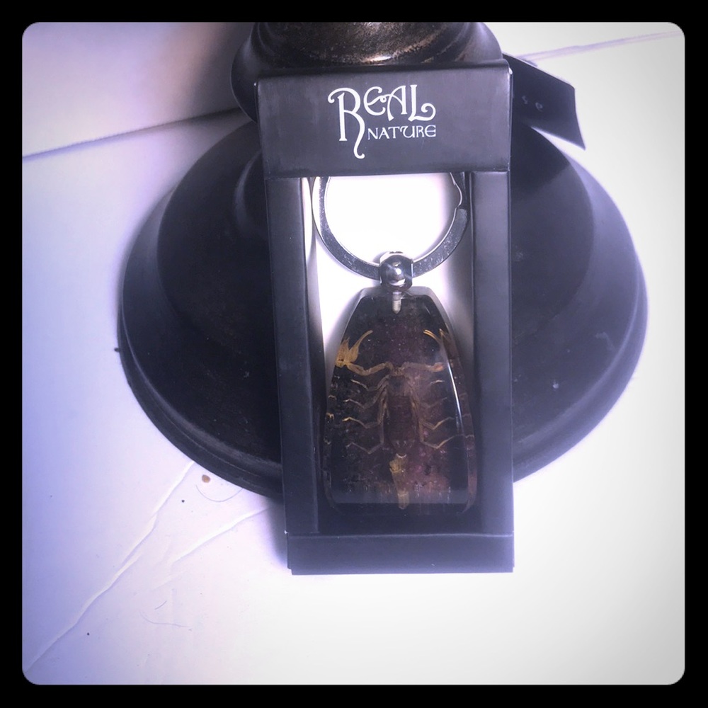 Real nature Yellow Scorpion key chain.
